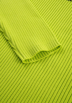 JAXA Cotton Rib Turtleneck Su41