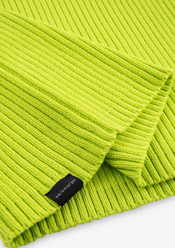 JAXA Cotton Rib Turtleneck Su41